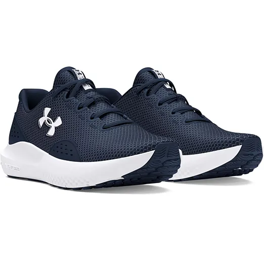 Кроссовки Under Armour UA Charged Surge 4 3027000-401