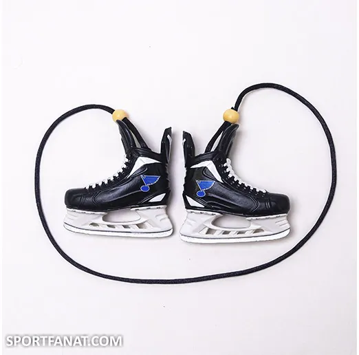 Подвеска в авто коньки St. Louis Blues