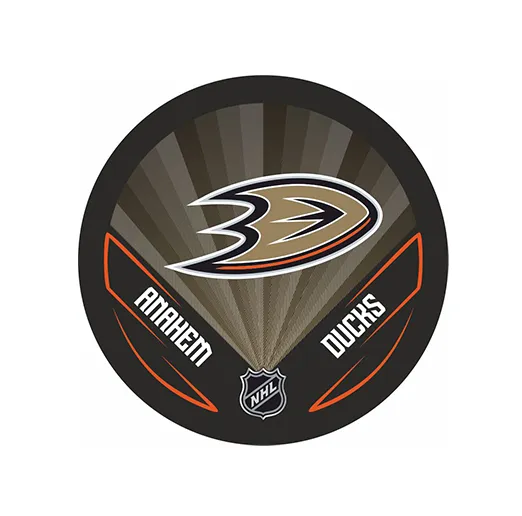 Шайба NHL 2022 Anaheim Ducks