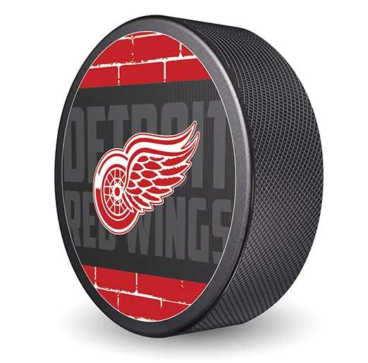 Шайба NHL 2023 Detroit Red Wings