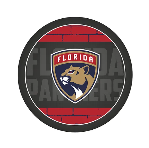Шайба NHL 2023 Florida Panthers