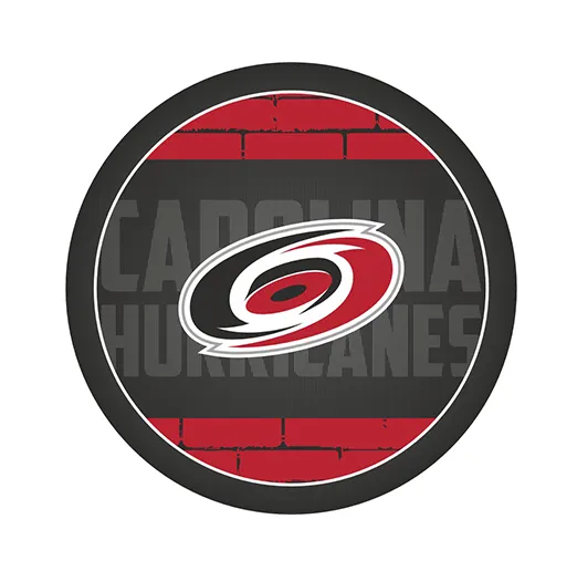 Шайба NHL 2023 Carolina Hurricanes