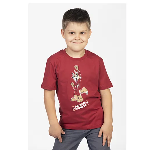Футболка Arizona Coyotes детская