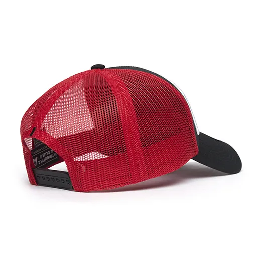 Бейсболка с сеткой Carolina Hurricanes, арт. 32243